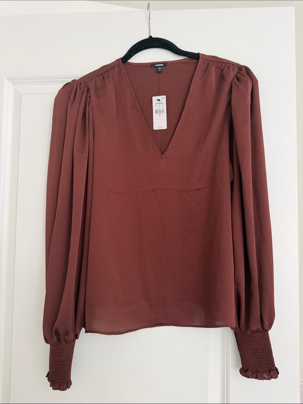Express V-Neck Bishop Sleeve Blouse in Brick Red